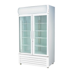 LG-730GE Two Glass Door Colourbond Upright Drink Fridge